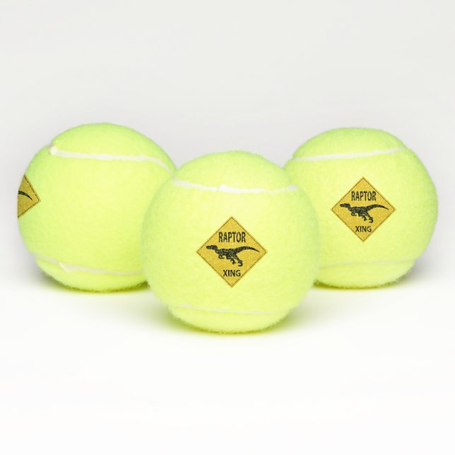 Raptor XING Tennis Balls (Multi)
