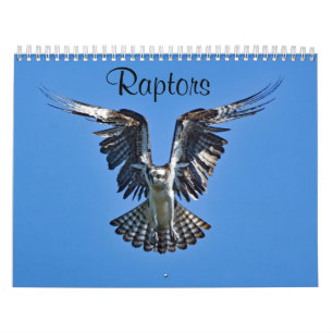 Raptors Calendar