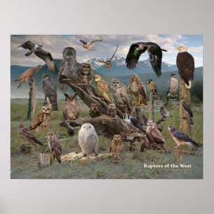 Raptors of the West 2019 Poster