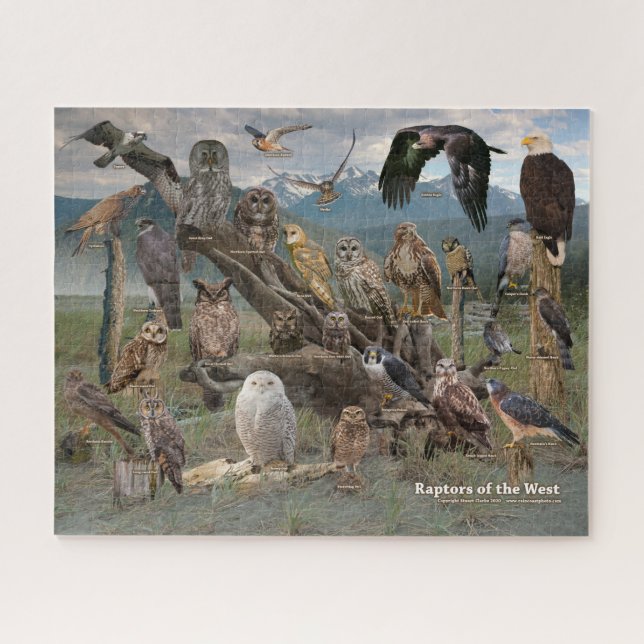 Raptors of the West Puzzle (Horizontal)