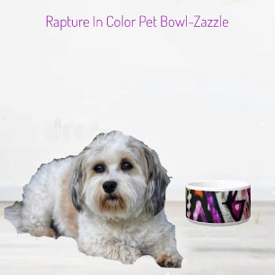 Rapture In Colour Ceramic Pet Bowl