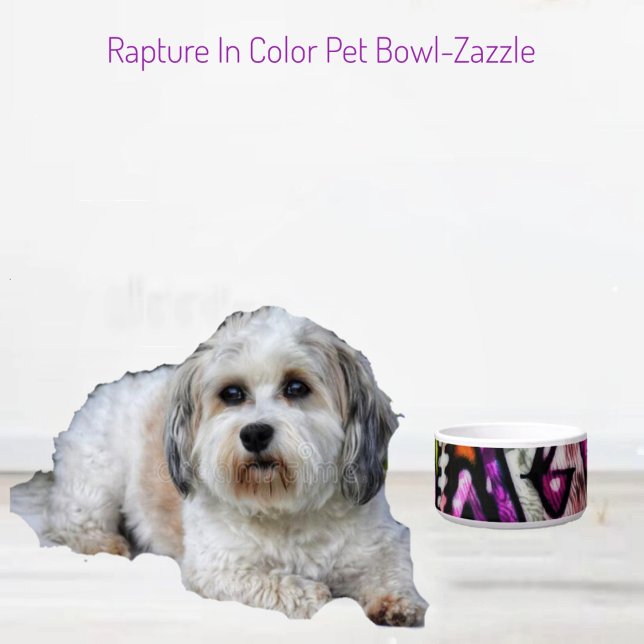 Rapture In Colour Ceramic Pet Bowl (Creator Uploaded)
