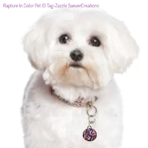 Rapture In Colour   Pet Tag