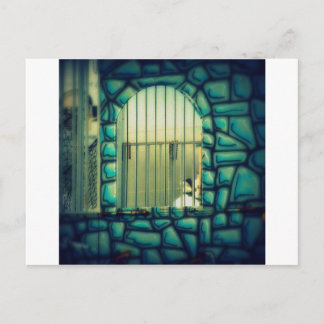 Rapunzel's Cage Postcard