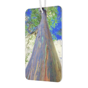 Raqinbow Eucalyptus Air Freshener
