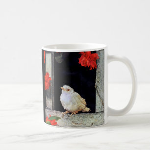 RARE albino robin bird Coffee Mug