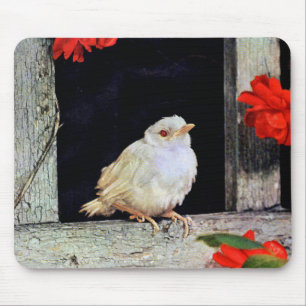 RARE albino robin bird Mouse Mat