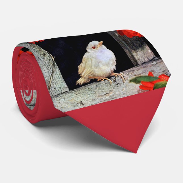 RARE albino robin bird Tie (Rolled)