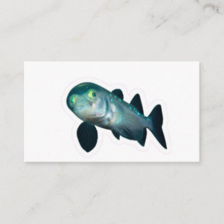 Rare Barreleye Deep Sea Fish Transparent Head Stic Enclosure Card