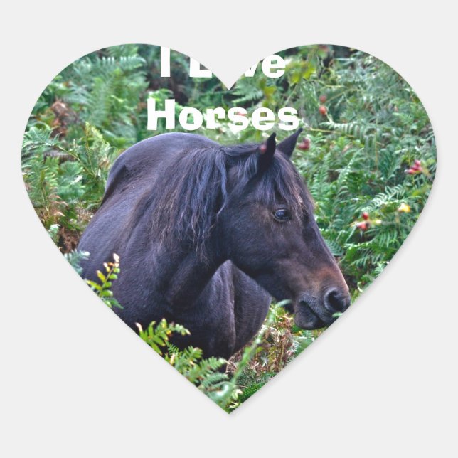 Rare Black New Forest Pony - Wild Horse - England Heart Sticker (Front)