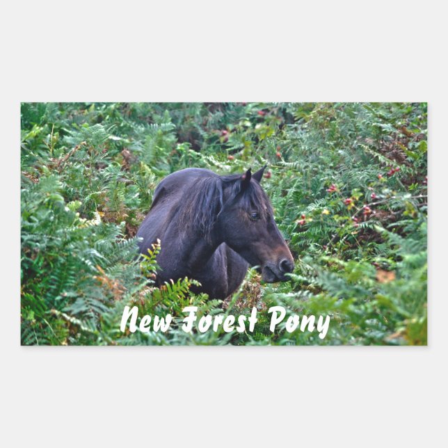 Rare Black New Forest Pony - Wild Horse - England Rectangular Sticker (Front)