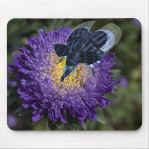 Rare Blue Elephant Bug Mouse Mat