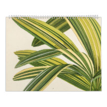 Rare Botanical Vintage Leaf Illustration