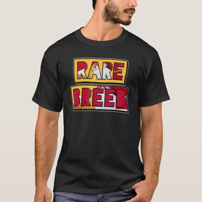 Rare Breed Mid Picnic 1s Matching T-Shirt (Front)