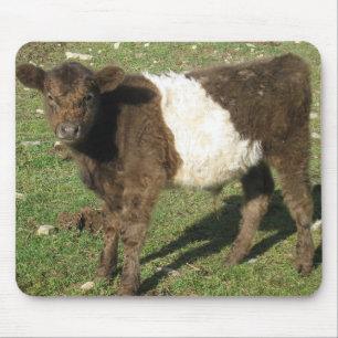 Rare Dun Belted Galloway Calf Mouse Mat