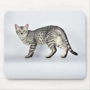 Rare Egyptian Mau Cat Mouse Mat