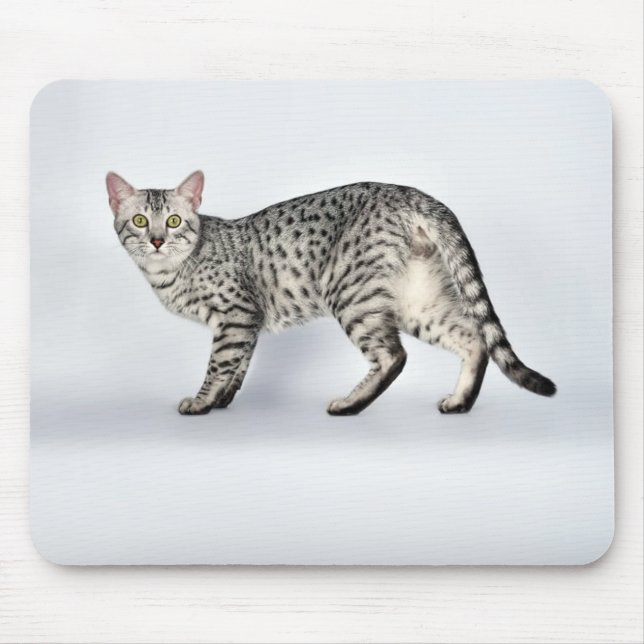 Rare Egyptian Mau Cat Mouse Mat (Front)