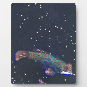 Rare Exotic Fish Plaque