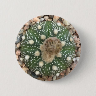 Rare Green Astrophytum Asterias Pattern Cactus 6 Cm Round Badge