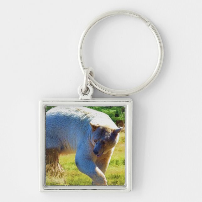 Rare Kermode Bear (Spirit Bear) Wildlife Photo Key Ring (Front)