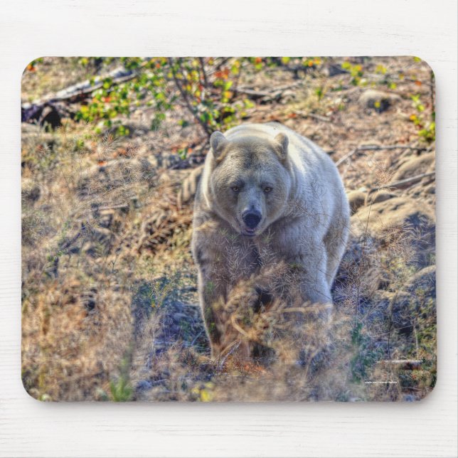 Rare Kermode Bear (Spirit Bear) Wildlife Photo Mouse Mat (Front)