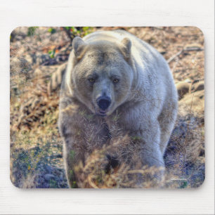 Rare Kermode Bear (Spirit Bear) Wildlife Photo Mouse Mat