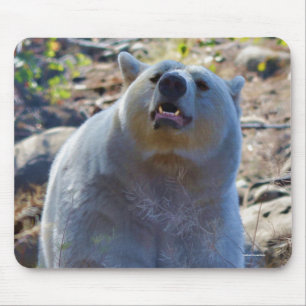 Rare Kermode Bear (Spirit Bear) Wildlife Photo Mouse Mat
