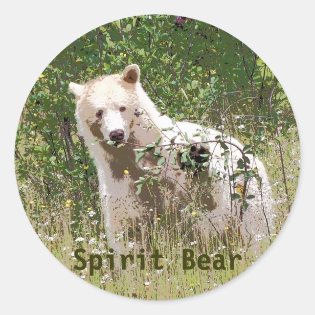 Rare Kermode Spirit Bear, Wildlife Artwork Classic Round Sticker (Front)