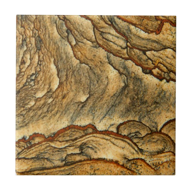 Rare landscape jasper closeup tile (Front)