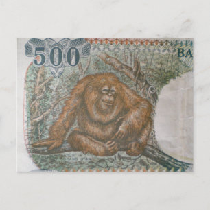 Rare Orangutan Limited Edition Postcard