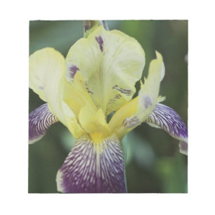 Rare Orchid Notepad