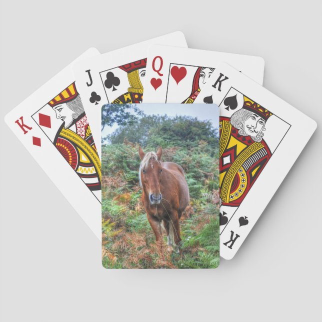 Rare Palomino New Forest Pony & Bracken - England Playing Cards (Back)