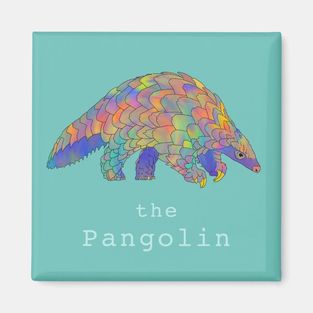 Rare Pangolin anteater colourful  Magnet (Front)