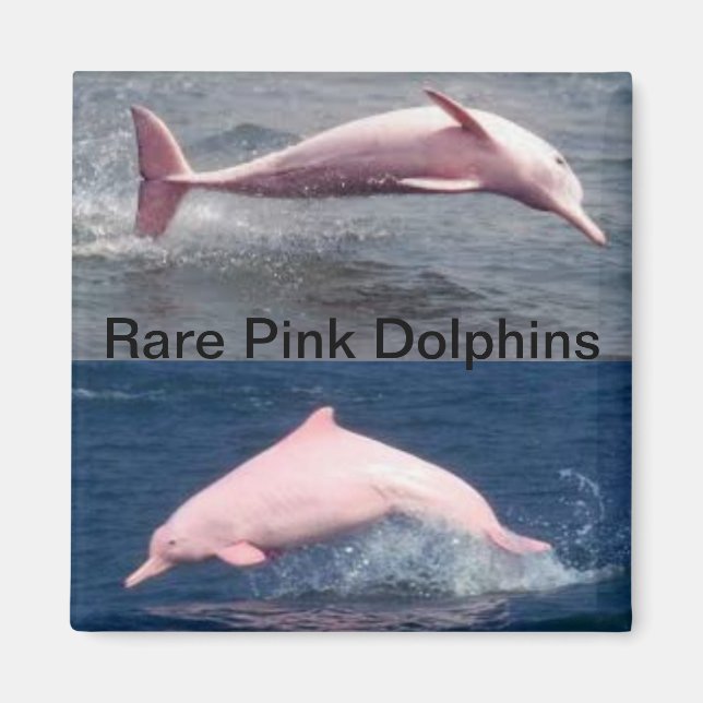 rare pink dolphins magnet (Front)