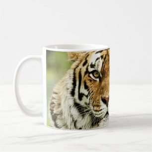Rare Siberian Tiger: Endangered Resting Coffee Mug