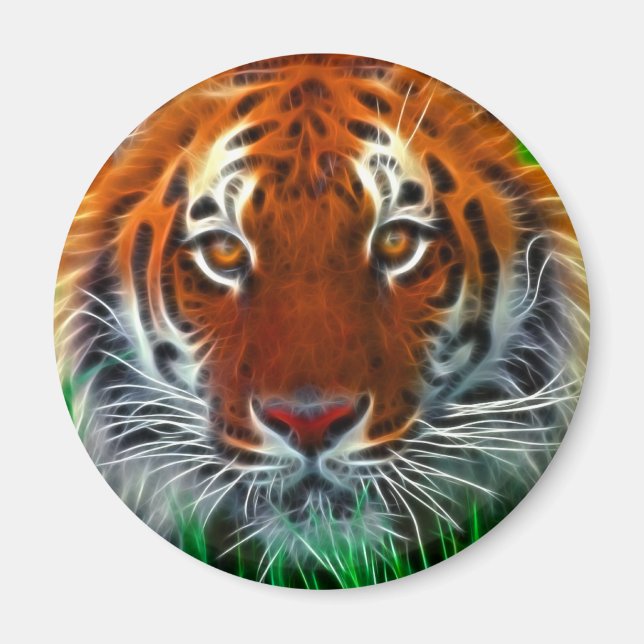 Rare Sumatran Tiger from Indonesia Magnet (Front)