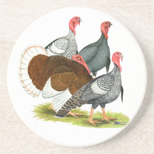 Rare Turkey Quartet Coaster