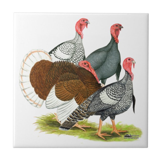 Rare Turkey Quartet Tile (Front)