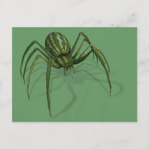 Rare Watermelon Spider Postcard