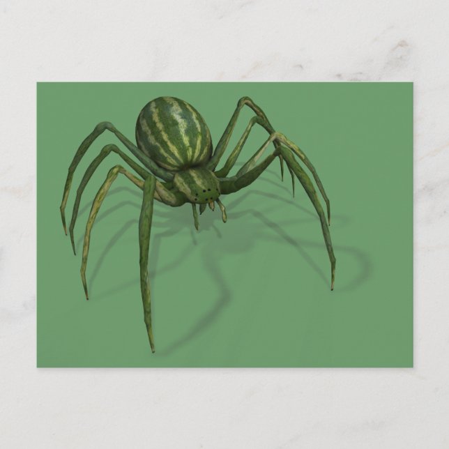 Rare Watermelon Spider Postcard (Front)