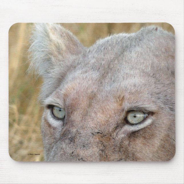 RARE WHITE LION  MOUSE MAT (Front)