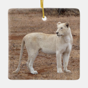 Rare White Lioness Ceramic Ornament