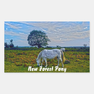 Rare White New Forest Ponies, Wild Horse - England Rectangular Sticker
