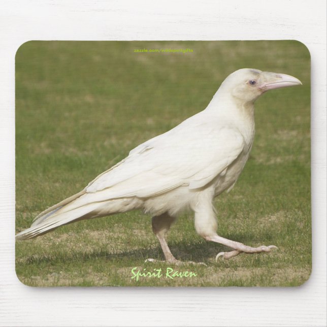 Rare White Raven Corvid-lover's Wildlife Photo Mouse Mat (Front)