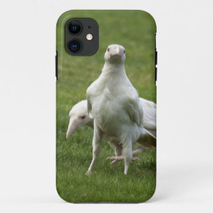 Rare White Raven Crow Wild Bird iPhone 11 Case