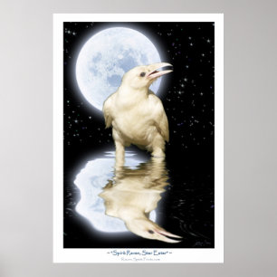 Rare WHITE RAVEN Fantasy Art Poster