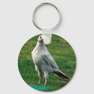 Rare White Raven Gifts Key Ring