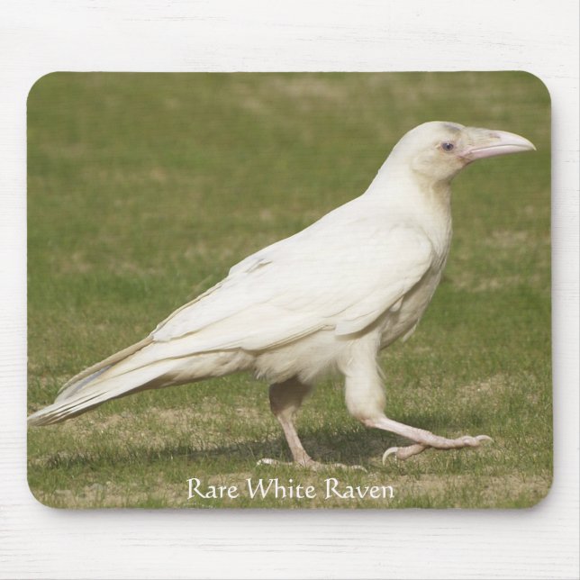 Rare White Raven Mouse Mat (Front)