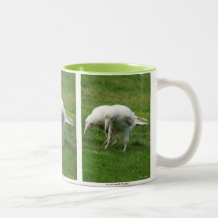 Rare White Raven Wildlife Photo Two-Tone Coffee Mug
