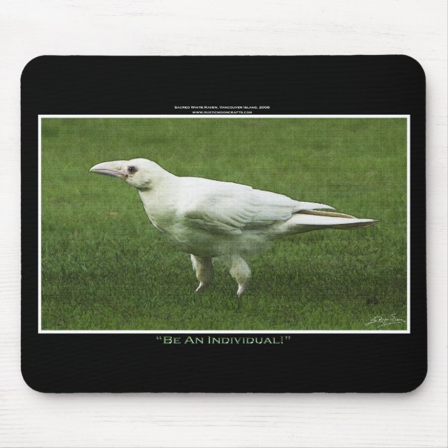 Rare White Raven Wildlife Photograph Mouse Mat (Front)